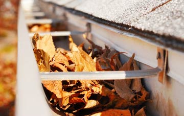 Manor gutter cleaning companies
