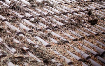 Manor roof cleaning companies