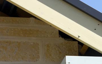 soffit repair Manor